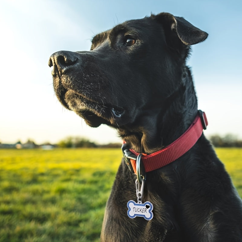 Personalized Engravable Dog ID Tag Collar Plate – Fashionable Anti-Lost Name & Phone Number Tag for Cats & Dogs, 8 Colors, Fits Small, Medium, and Large Breeds, Cute & Stylish Pet Gift