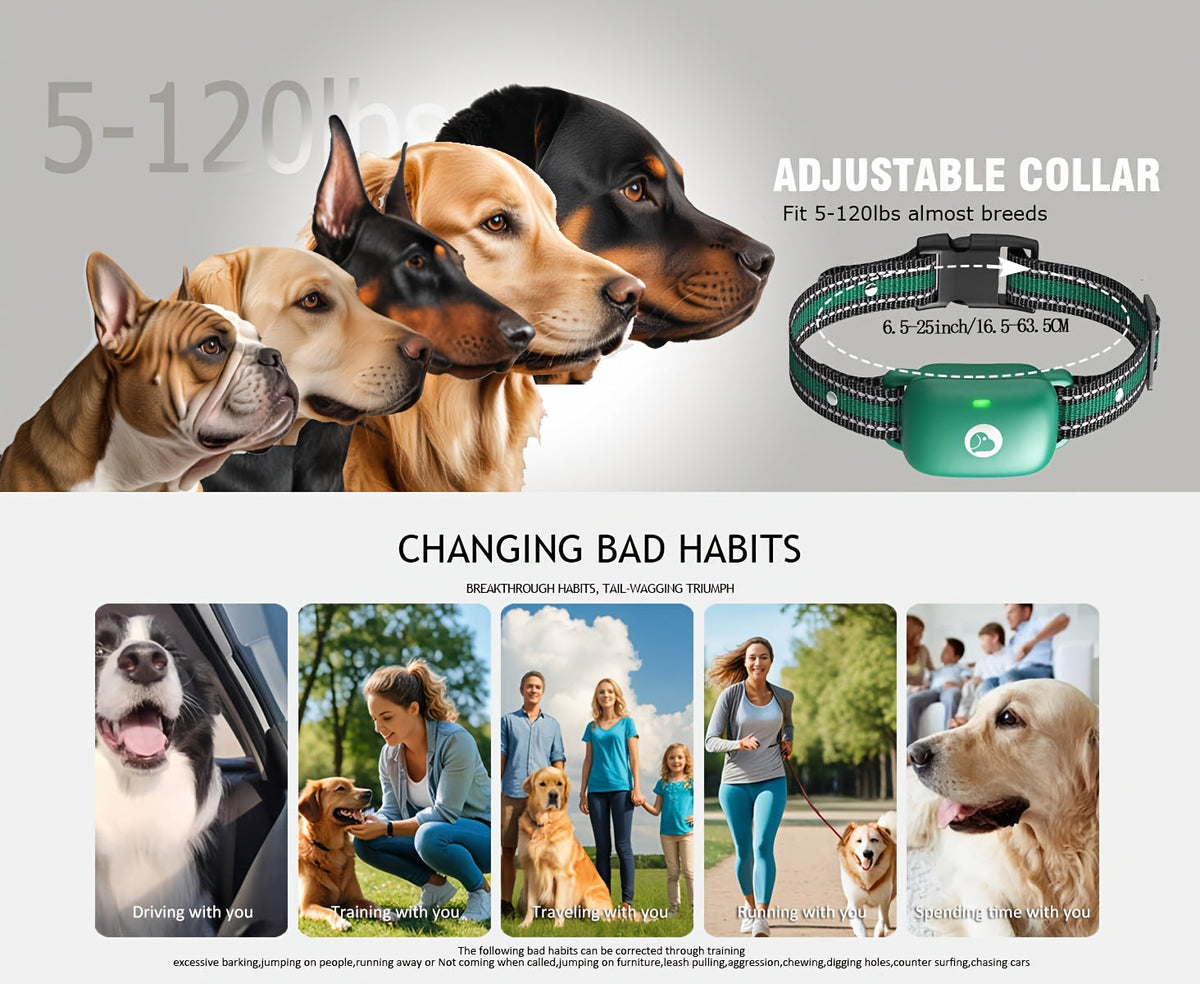 Dog Training Collar with Remote, 3 Training Modes (Beep, Vibration, Shock), E-Collar for Medium to Large Dogs, Smart Icon Remote Receiver Function