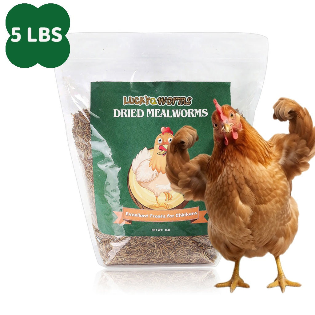 Dried Mealworms for Chickens, Wild Birds, and Ducks – High-Protein Natural Pet Food for Hens, Turtles, Fish, Lizards, and Hamsters, Non-GMO Dried Insect Animal Feed, Multiple Sizes 0.6–40 lbs