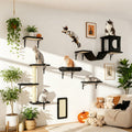 7-Piece Wall-Mounted Cat Climbing Shelf Set – Deluxe Indoor Cat Furniture with Cat Condo, Wall Shelves, Scratching Post, Bridge Ladder & Tunnel, Space-Saving Cat Wall Playground for All Cat Sizes