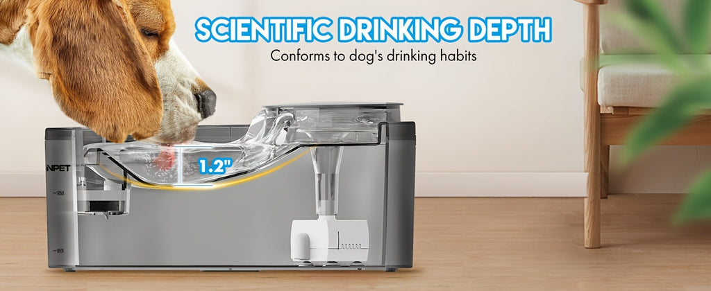 Automatic Dog Water Fountain 1.3 Gallon Large Capacity Pet Water Dispenser with Splatter Guard, Cleaning Kit, and Low Voltage USB for Dogs, Cats, and Multiple Pets