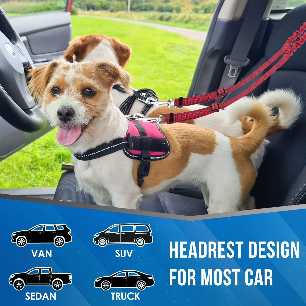 Dual Dog Car Seat Belt for 2 Dogs, No-Tangle Headrest Restraint, Adjustable Bungee Pet Safety Harness for Small, Medium, and Large Dogs for Car Travel
