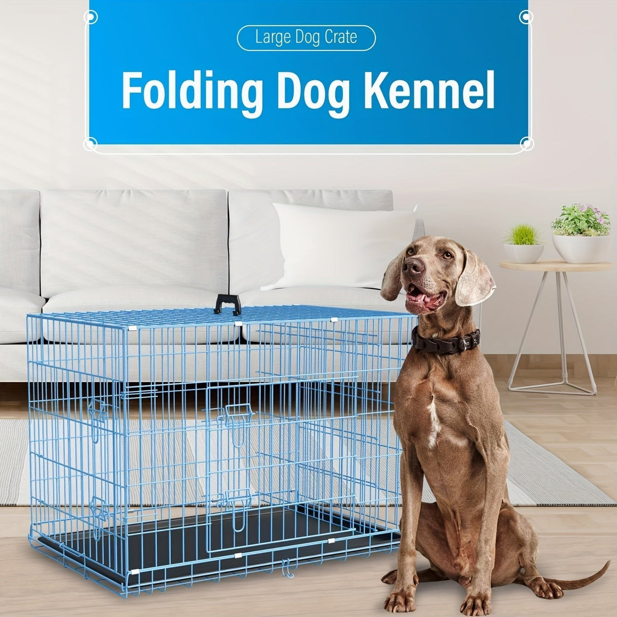 Double Door Folding Metal Dog Crate 42 48 Inch with Divider, Leak-Proof Tray, High-Temp Paint Finish, Wire Kennel for Medium to Large Dogs, Indoor/Outdoor, Black/Blue/Pink