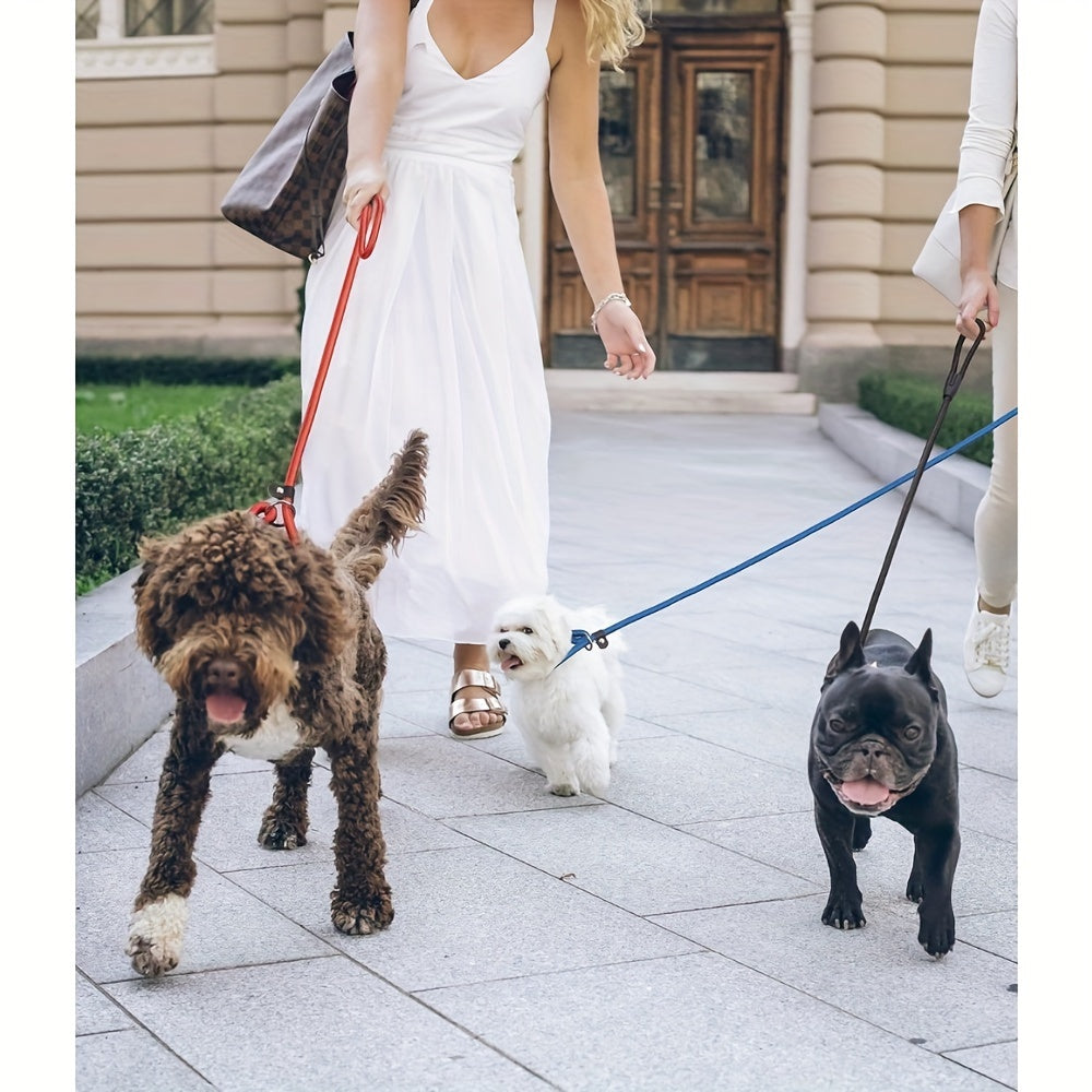 5-Pack Slip Lead Dog Leash - Nylon Rope Training Leads for Dogs of All Sizes, Durable Strong Dog Training Leash Set for Puppy, Small, Medium, and Large Dogs, Vet & Shelter Favorite