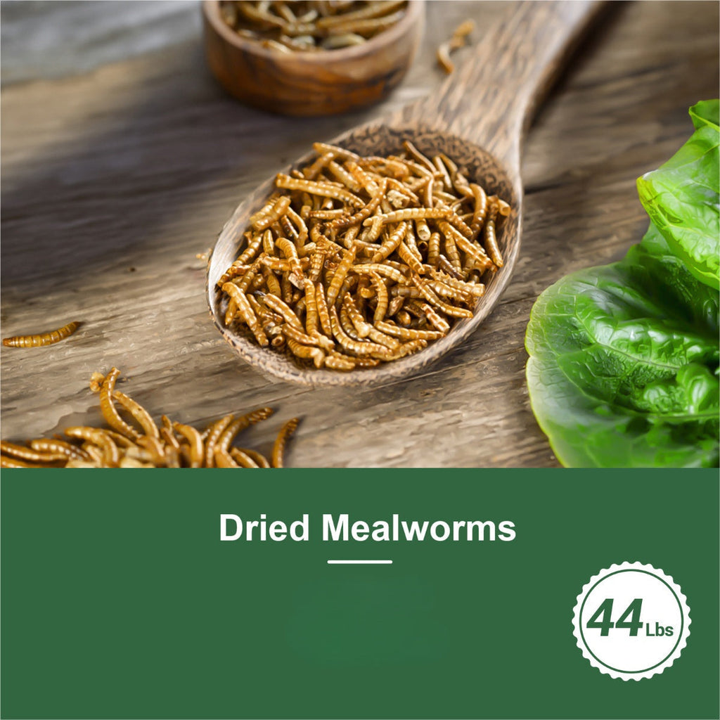 Dried Mealworms for Chickens, Wild Birds, and Ducks – High-Protein Natural Pet Food for Hens, Turtles, Fish, Lizards, and Hamsters, Non-GMO Dried Insect Animal Feed, Multiple Sizes 0.6–40 lbs
