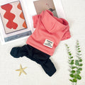 Color Block Small Dog Hoodie – 4-Legged Sweatshirt, Machine Washable Polyester Winter Pullover for Small Dogs, XS to XXL, Casual Cozy Pet Sweatshirt in Pink, Red, and Ginger for Cold Weather Outings