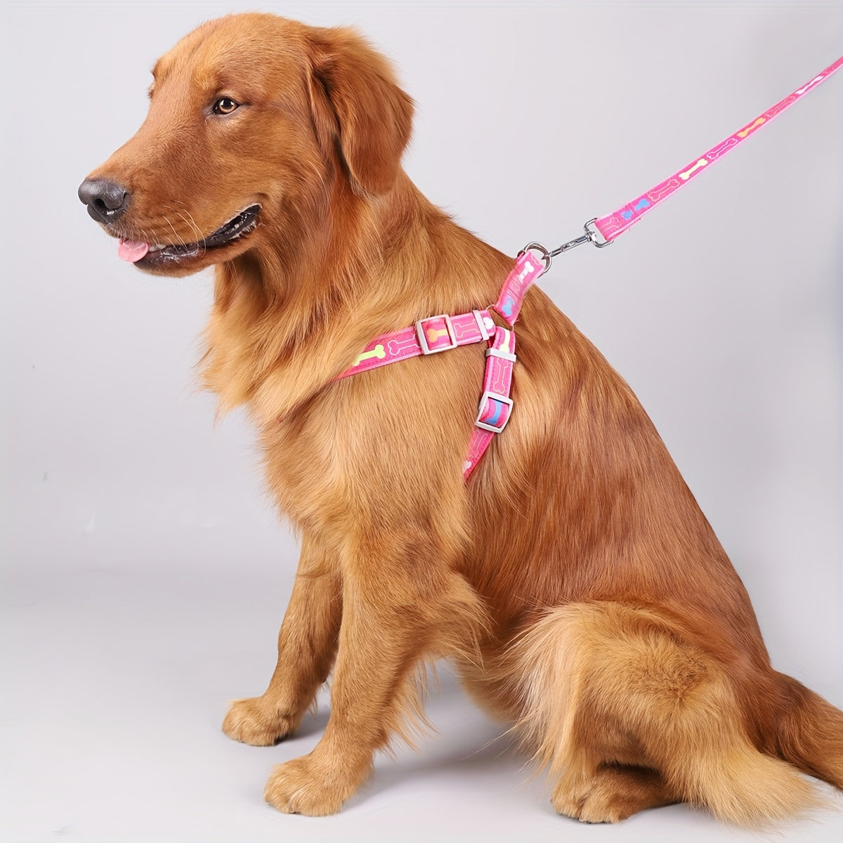 Dog Harness and Leash Set with Bone Pattern - No-Pull Triangle Vest Harness for Small, Medium, and Large Dogs, for Indoor and Outdoor Walking, Pink, Black, Blue, Grey, S M L