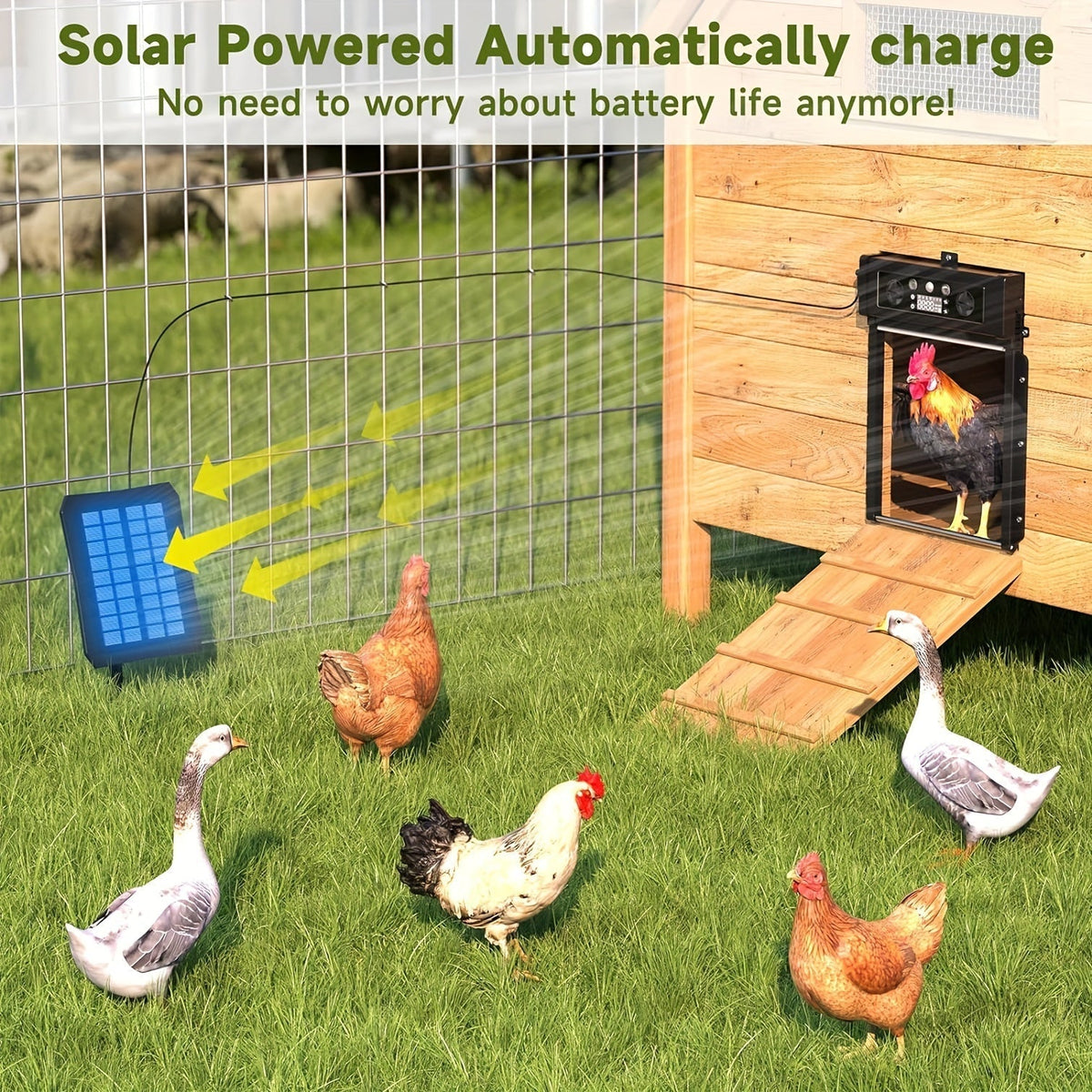 Automatic Chicken Coop Door, Solar Powered with Timer & Light Sensor – Aluminum Alloy Anti-Pinch Design, featuring a 4000mAh Battery, Solar Panel, and Remote Control for Poultry Management