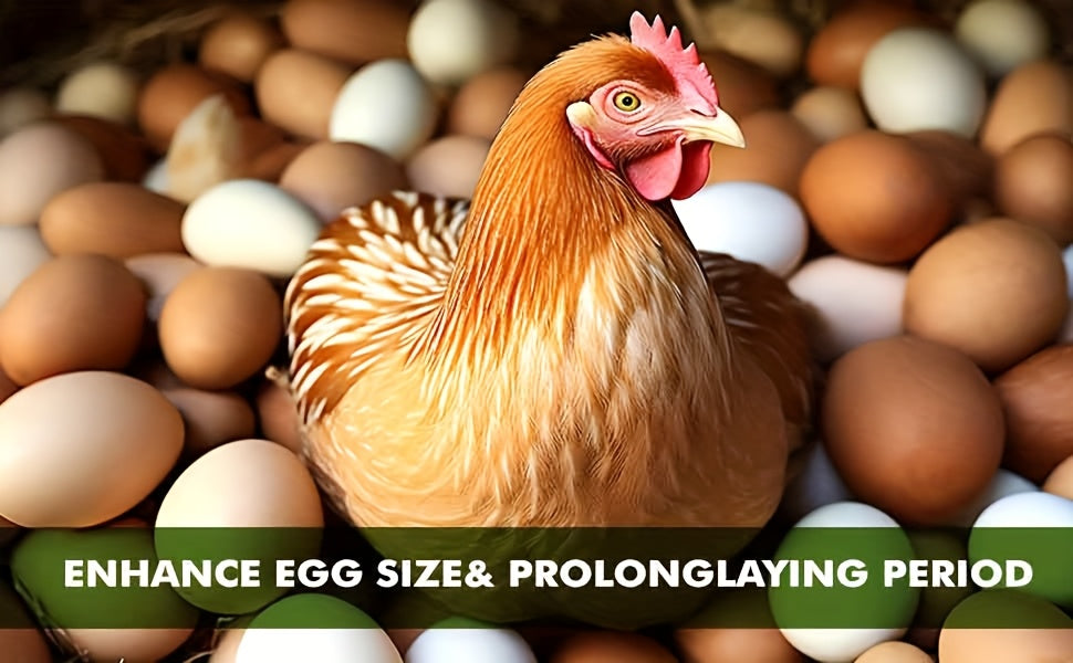 PROILGRUBS Dried Black Soldier Fly Larvae Chicken Treats – Non-GMO High-Protein Egg & Flock Builder, Stronger Eggshells & Feather Growth for Layers, Broilers, and Chicks, 5 to 33 LB Bulk Bags