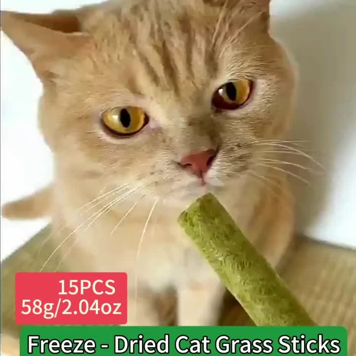 Cat Grass Freeze-Dried Grinding Sticks – Edible Chew Toy for Cat Teeth Cleaning & Hairball Removal, Natural Cat Grass Snack Treats 15 or 30 Pcs