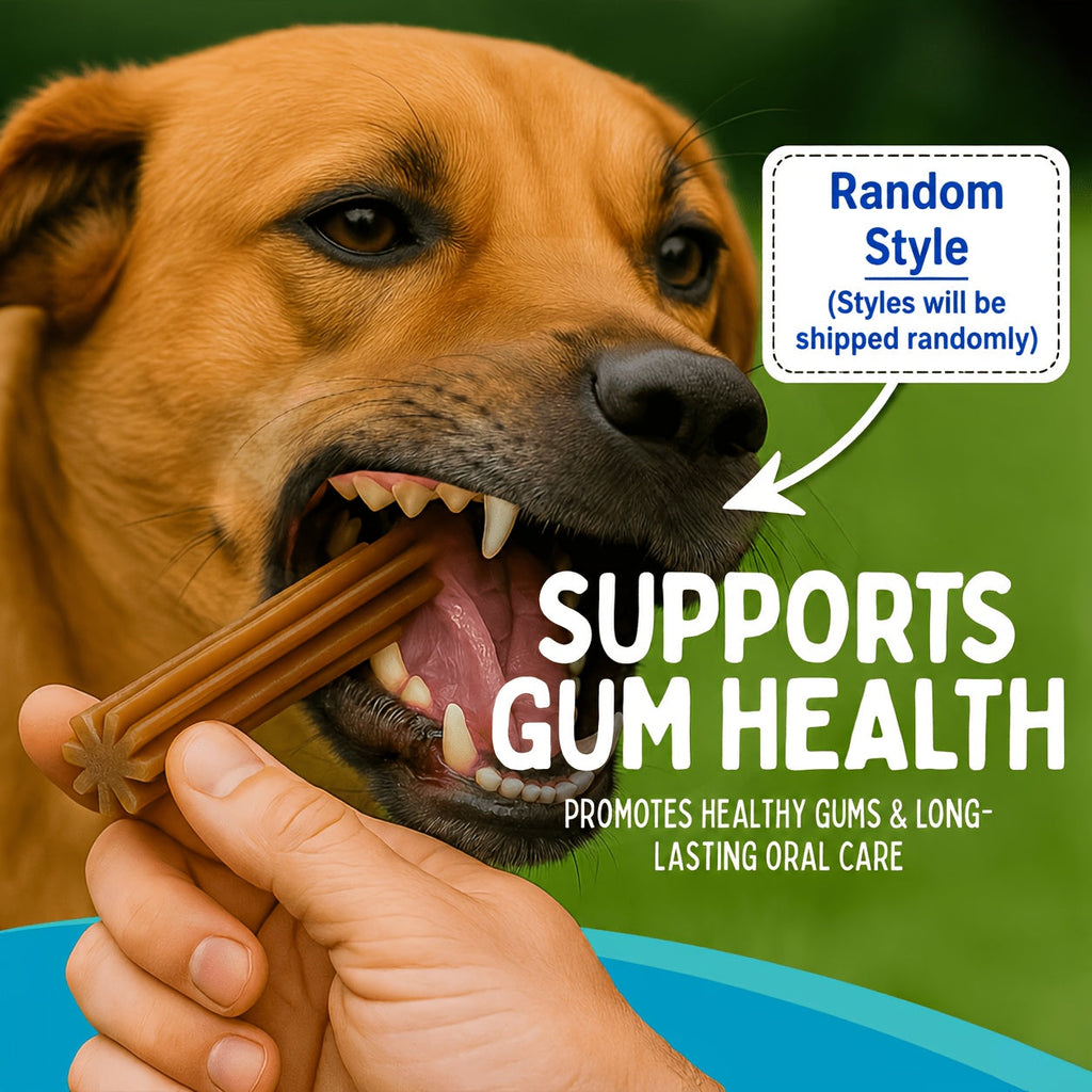 Dog Chewing & Teeth Cleaning Stick Toys 20 Pack - Daily Dental Care Chew Sticks for Small, Medium & Large Dog Breeds, Assorted Styles Random Mix, Ideal Birthday & Holiday Gift Set