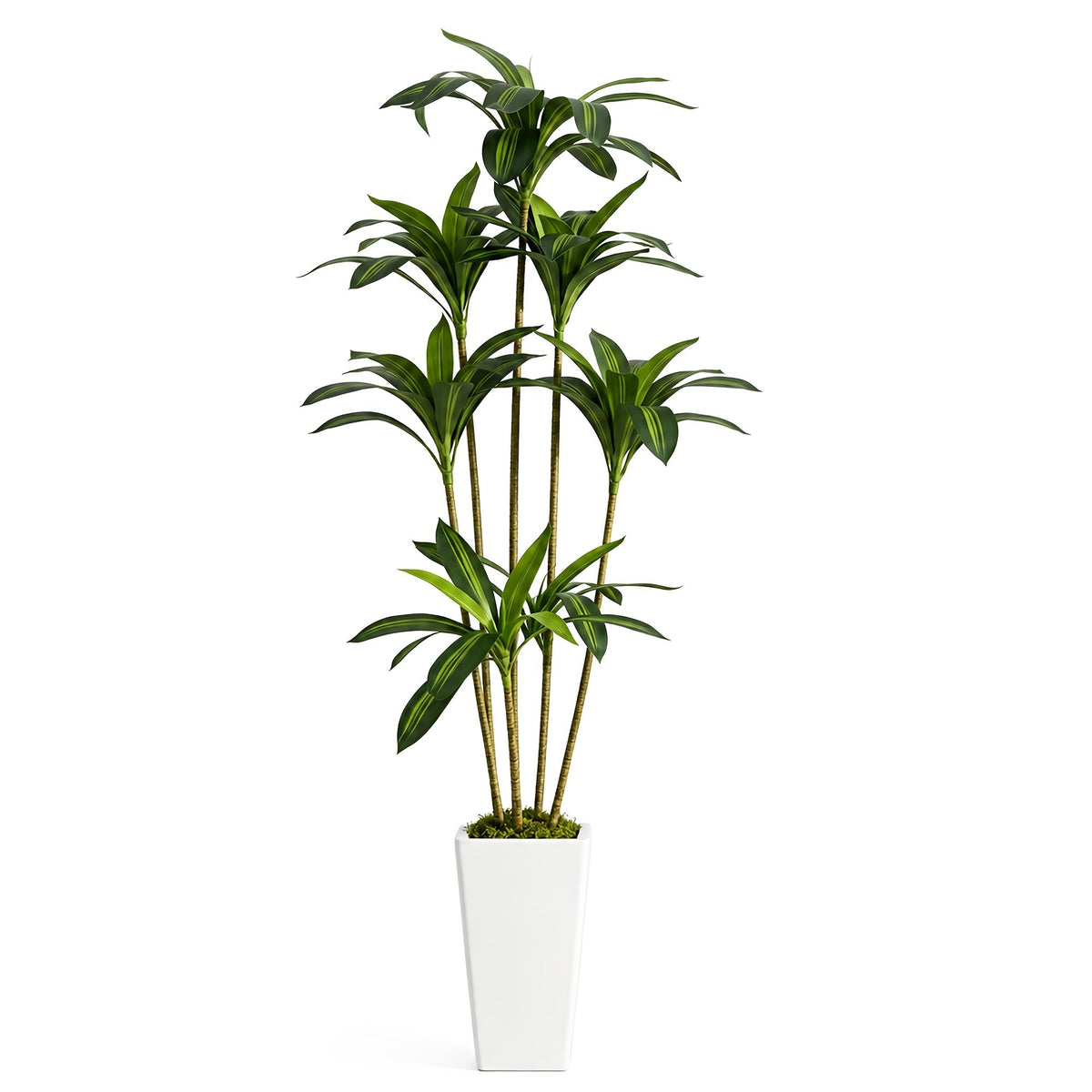 Artificial Dracaena Yucca Floor Plant in Pot 5FT & 6FT Faux Indoor Tree Adjustable Branches Artificial Moss No Maintenance for Home Office & Living Room Decor – Black & White Planter