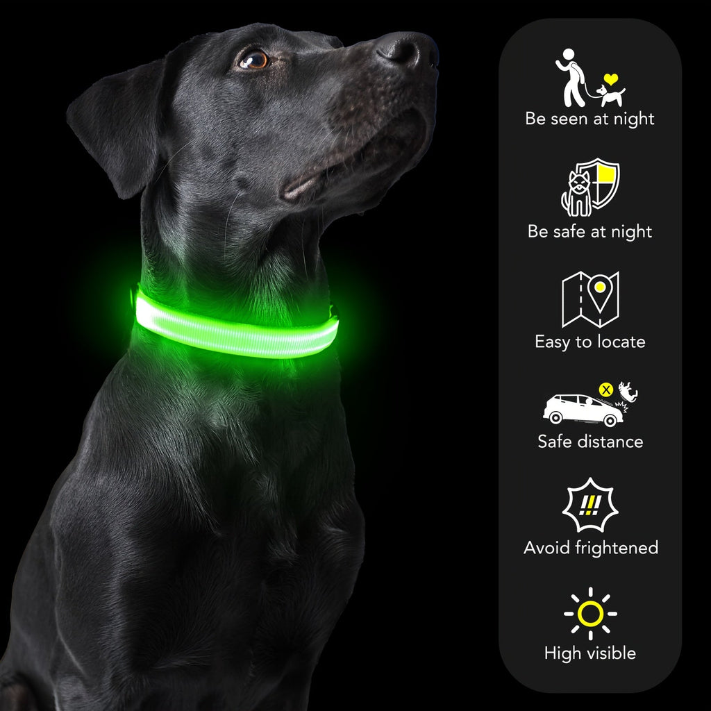 LED Dog Collar, USB Rechargeable - Adjustable Nylon Glow Safety Collar with D-Ring Buckle for Small, Medium, and Large Dogs, High-Visibility Night Walking Collar