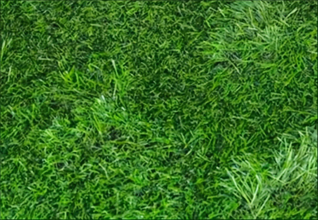 Washable and Reusable Artificial Grass Pee Pad for Dogs, Odor Control Indoor Puppy Potty Training Mat, 18.11" x 27.56" – Dog Urine Grass Pad