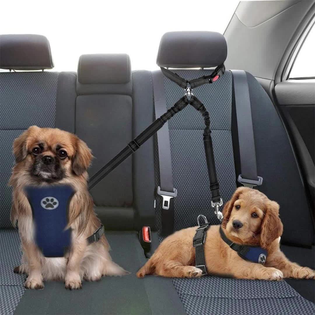 Dual Dog Car Seat Belt for 2 Dogs, No-Tangle Headrest Restraint, Adjustable Bungee Pet Safety Harness for Small, Medium, and Large Dogs for Car Travel