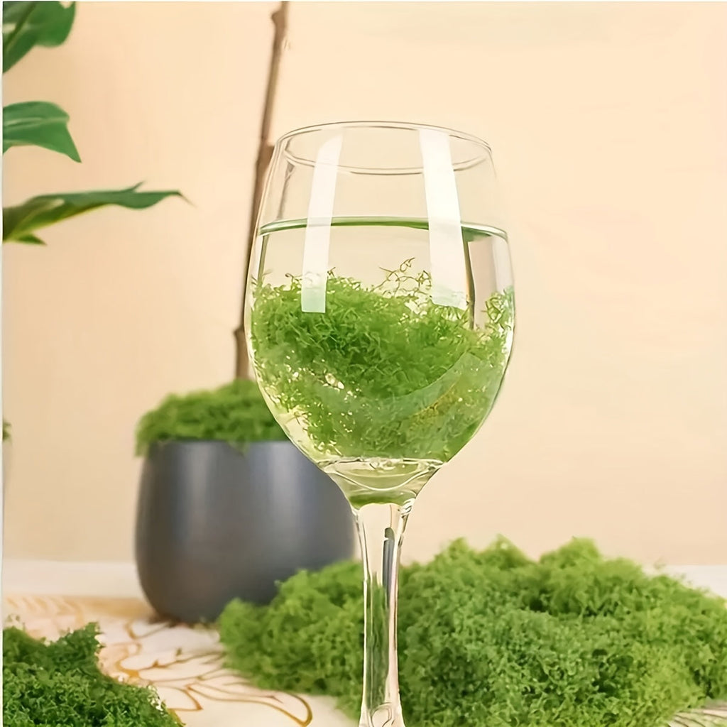 Realistic Artificial Moss for Terrariums, Miniatures, and Landscapes - Faux Moss for Potted Plants, Dollhouses, Dioramas, Model Railroads, Aquariums, and Miniature Ecosystems, Low Maintenance, 4 Sizes from 0.35oz to 3.52oz