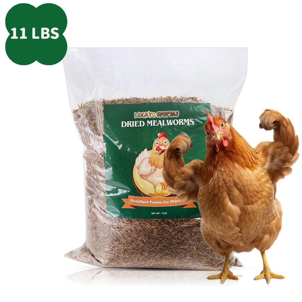 Dried Mealworms for Chickens, Wild Birds, and Ducks – High-Protein Natural Pet Food for Hens, Turtles, Fish, Lizards, and Hamsters, Non-GMO Dried Insect Animal Feed, Multiple Sizes 0.6–40 lbs