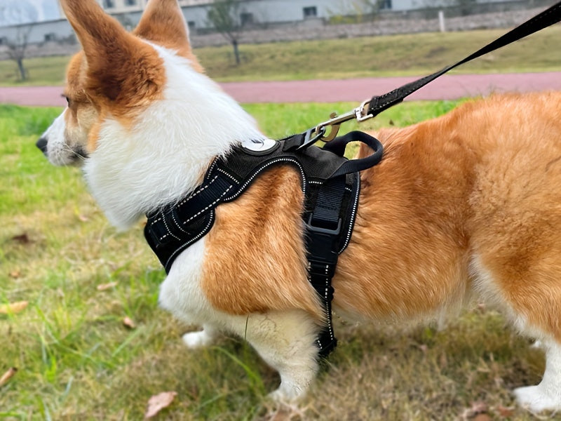 No-Pull Dog Harness and Leash Set – Adjustable Reflective Oxford Vest Harness with 5-Foot Padded Handle Leash for Medium to Large Dogs, Quick-Release Buckles, Sizes S-XL, 5 Colors