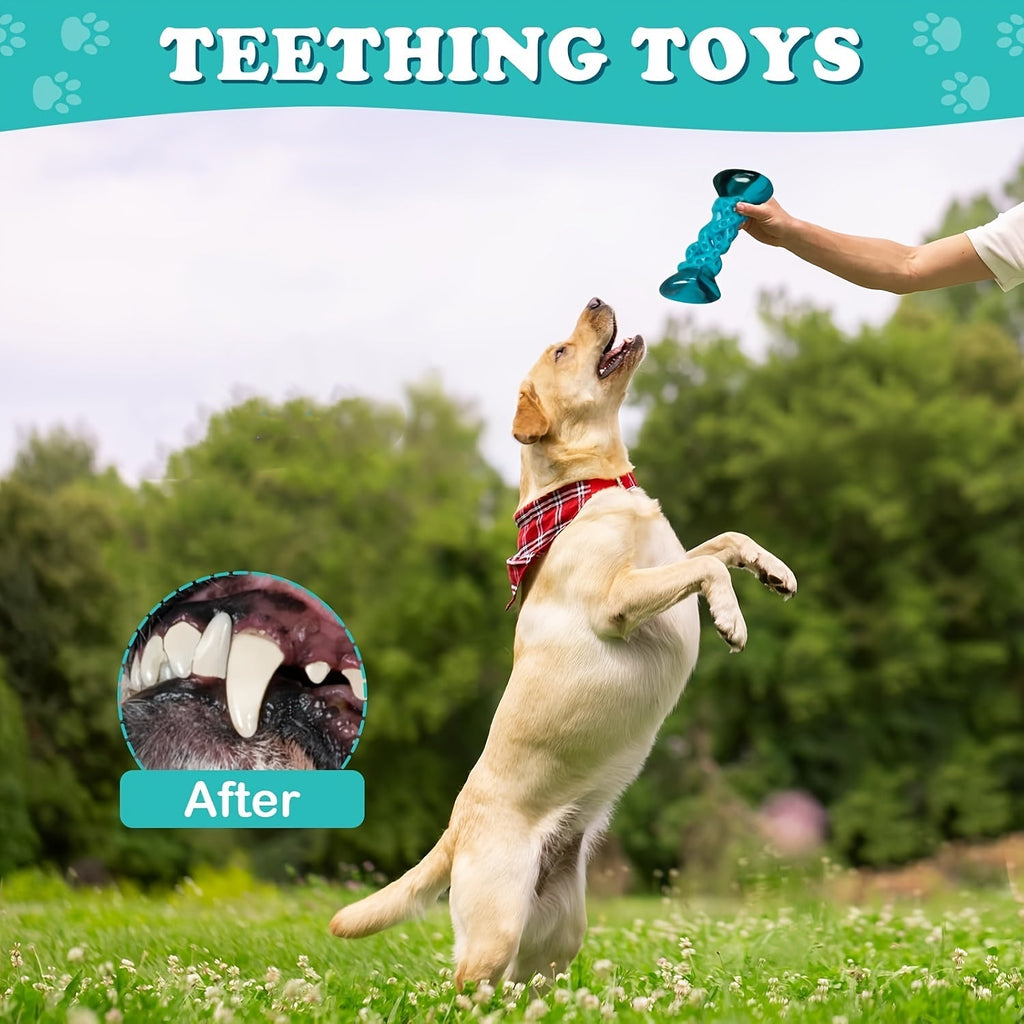 Durable Nylon Dog Chew Toy, Anxiety Relief and Boredom Buster, Indestructible Pet Toy for Small, Medium, and Large Dogs, Aggressive Chewers, Standard and Large Sizes, Keeps Dogs Busy and Relieves Stress