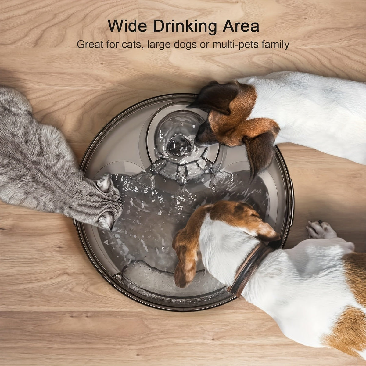 Automatic Dog Water Fountain 1.3 Gallon Large Capacity Pet Water Dispenser with Splatter Guard, Cleaning Kit, and Low Voltage USB for Dogs, Cats, and Multiple Pets