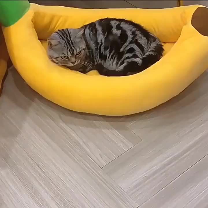 猫隧道床室内藏身处 - 甜甜圈猫窝四季通用折叠式猫隧道，带洞口，适合室内猫咪，柔软毛绒材质，深灰色与浅灰色，有20英寸和24英寸可选，理想的猫咪礼物