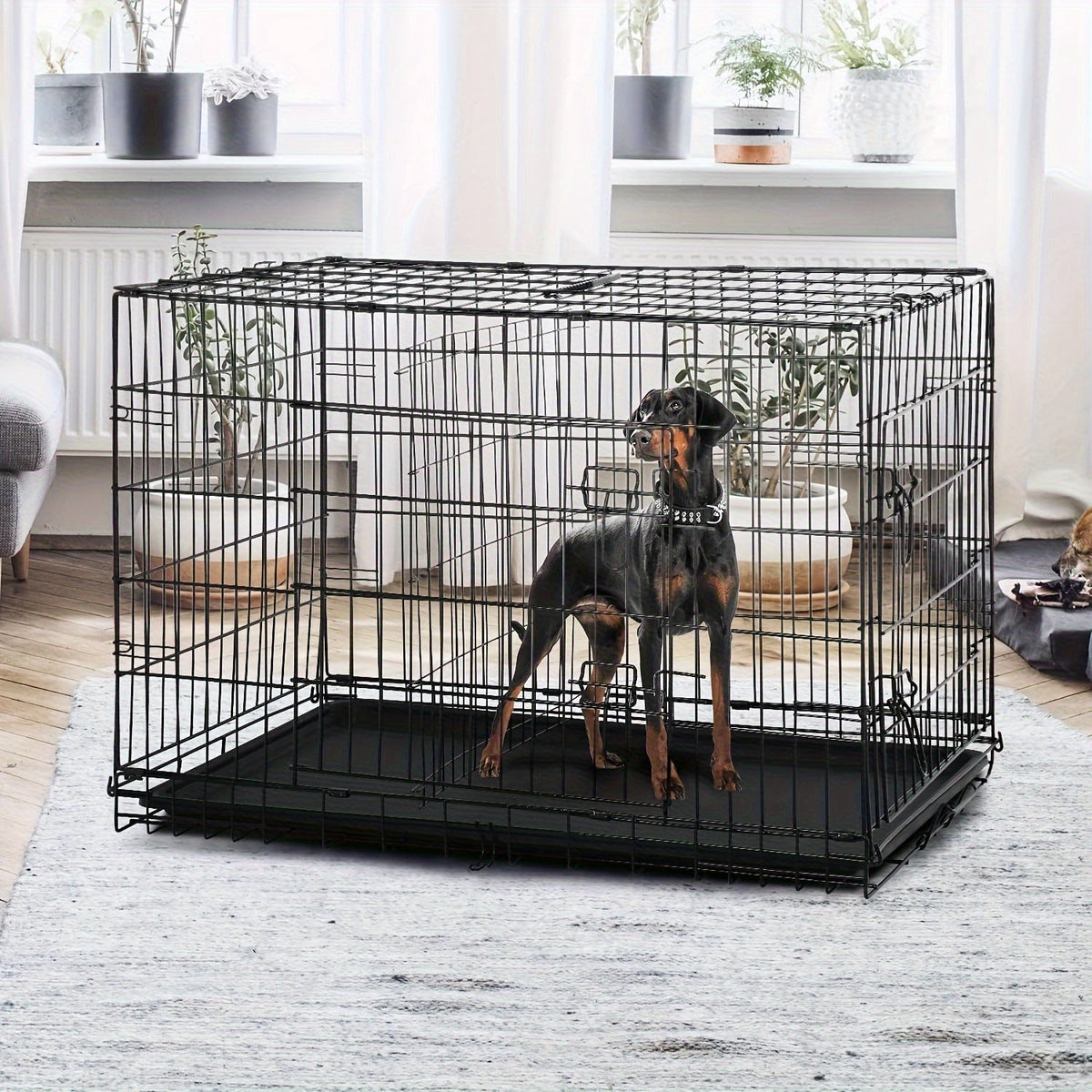 Double Door Folding Metal Dog Crate 42 48 Inch with Divider, Leak-Proof Tray, High-Temp Paint Finish, Wire Kennel for Medium to Large Dogs, Indoor/Outdoor, Black/Blue/Pink