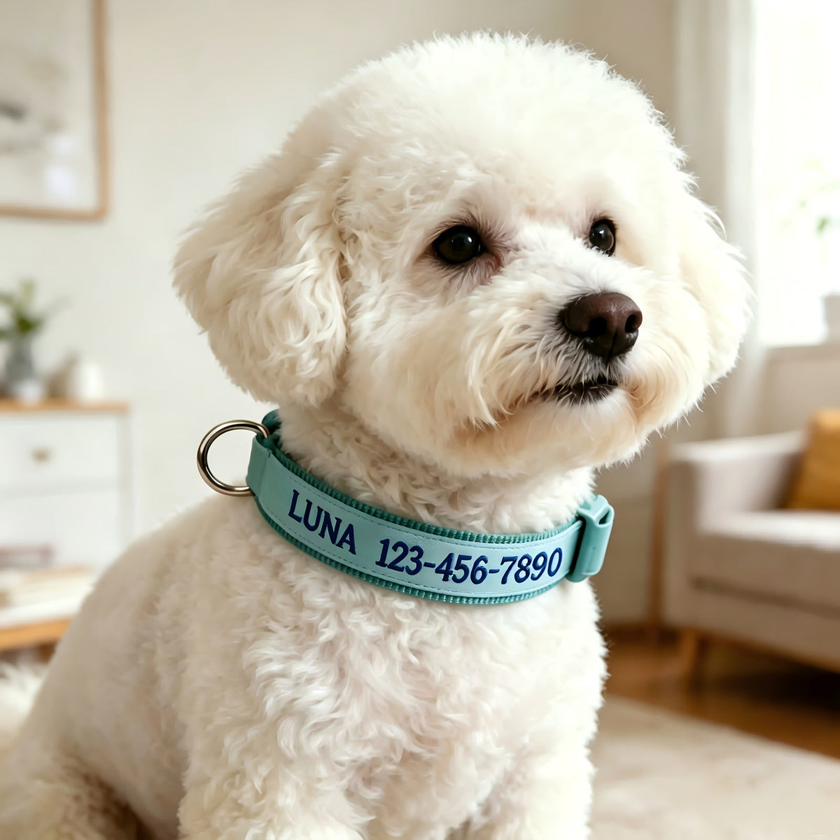 Personalized Glow-in-the-Dark Dog Collar – Custom Embroidered Name & Phone Number, Luminous Night Safety Collar for Small, Medium & Large Dogs, Anti-Lost Design in XS/S/M/L, 5 Colors Available