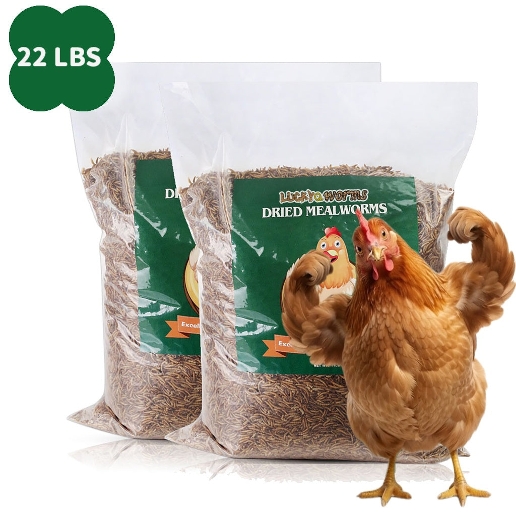 Dried Mealworms for Chickens, Wild Birds, and Ducks – High-Protein Natural Pet Food for Hens, Turtles, Fish, Lizards, and Hamsters, Non-GMO Dried Insect Animal Feed, Multiple Sizes 0.6–40 lbs