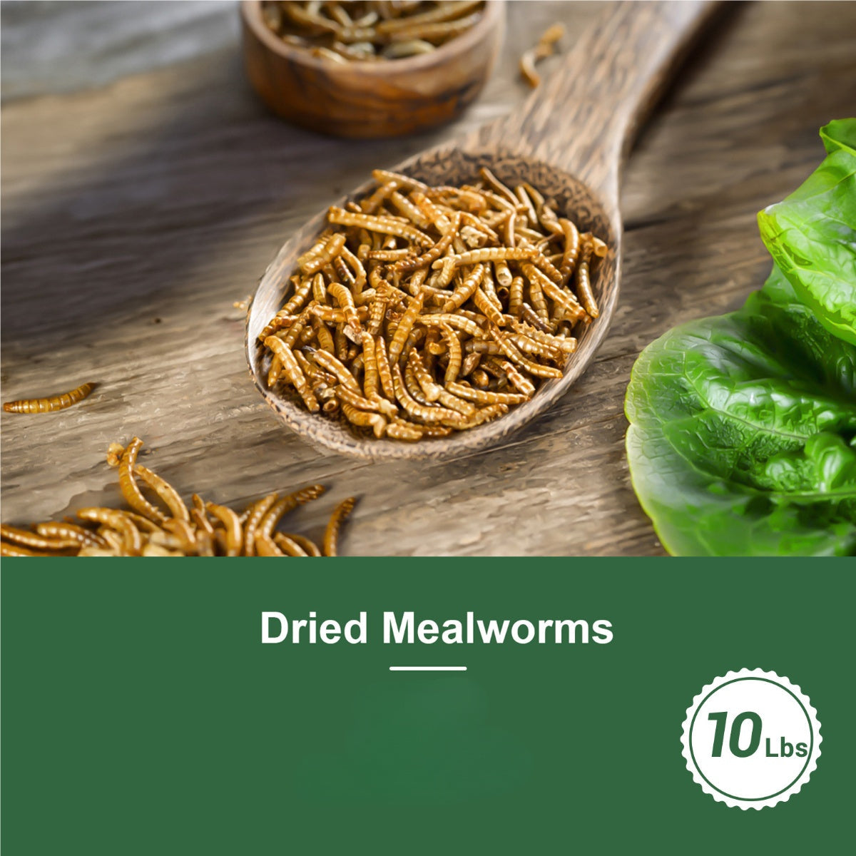 Dried Mealworms for Chickens, Wild Birds, and Ducks – High-Protein Natural Pet Food for Hens, Turtles, Fish, Lizards, and Hamsters, Non-GMO Dried Insect Animal Feed, Multiple Sizes 0.6–40 lbs