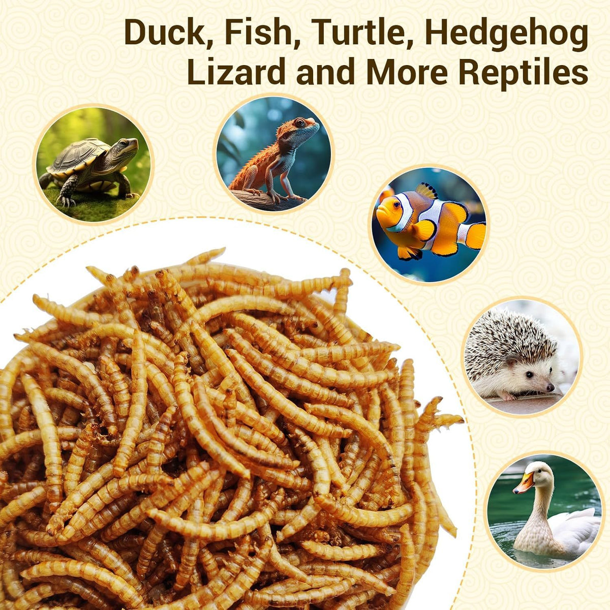 Dried Mealworms for Chickens, Wild Birds, and Ducks – High-Protein Natural Pet Food for Hens, Turtles, Fish, Lizards, and Hamsters, Non-GMO Dried Insect Animal Feed, Multiple Sizes 0.6–40 lbs
