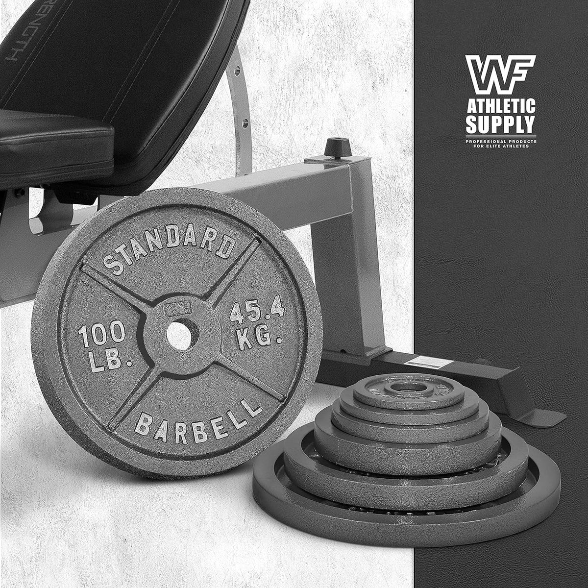Cast Iron Weight Plates 2-Inch Solid Baked Enamel Finish for Strength Training, Weightlifting, Bodybuilding, Powerlifting, Home Gym Barbell - 2.5, 5, 10, 25, 35, 45, 100 LB