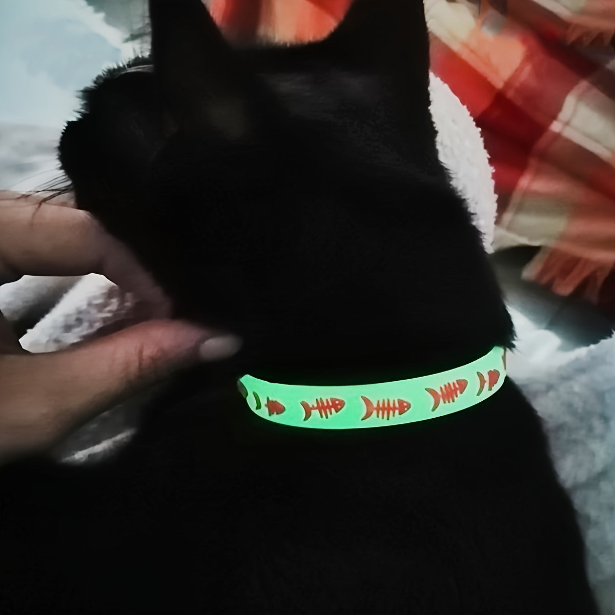 4-Pack Glow in the Dark Cat Collars with Bell, Night Safety Reflective Glowing Collars for Outdoor Cats, Blacklight Reactive, Mixed Colors, One Size Fits Most