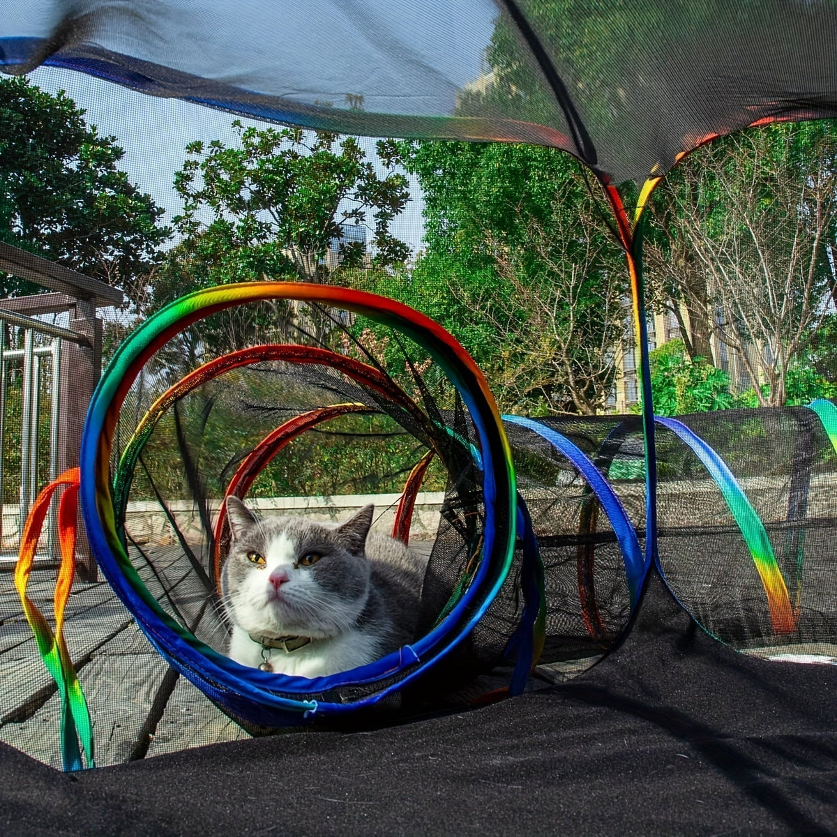 Rainbow Cat Playpen Outdoor Cat Enclosure with Circle Tunnel and Portable Pop-Up Tent, Foldable Cat Playground for Cats, Kittens, and Small Animals, Indoor/Outdoor Use