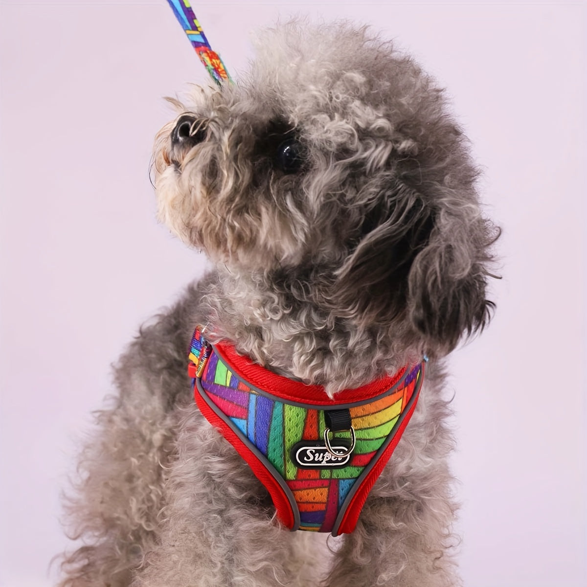 Dog Harness and Leash Set - No-Pull Dog Vest Harness, Adjustable Reflective Dog Harness for Small, Medium, and Large Dogs, Easy On/Off Escape-Proof Walking Harness for Indoor and Outdoor Use