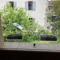 Acrylic Transparent Wall-Mounted Bird Feeder with Suction Cup for Window – Clear View Outdoor Feeding Station for Wild Birds and Hummingbirds