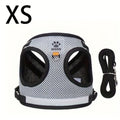 Cat and Dog Vest Harness with Leash Set, Anti-Escape Breathable Mesh Pet Harness, Anti-Breakaway Adjustable for Cats and Small Dogs Outdoor Walking and Training