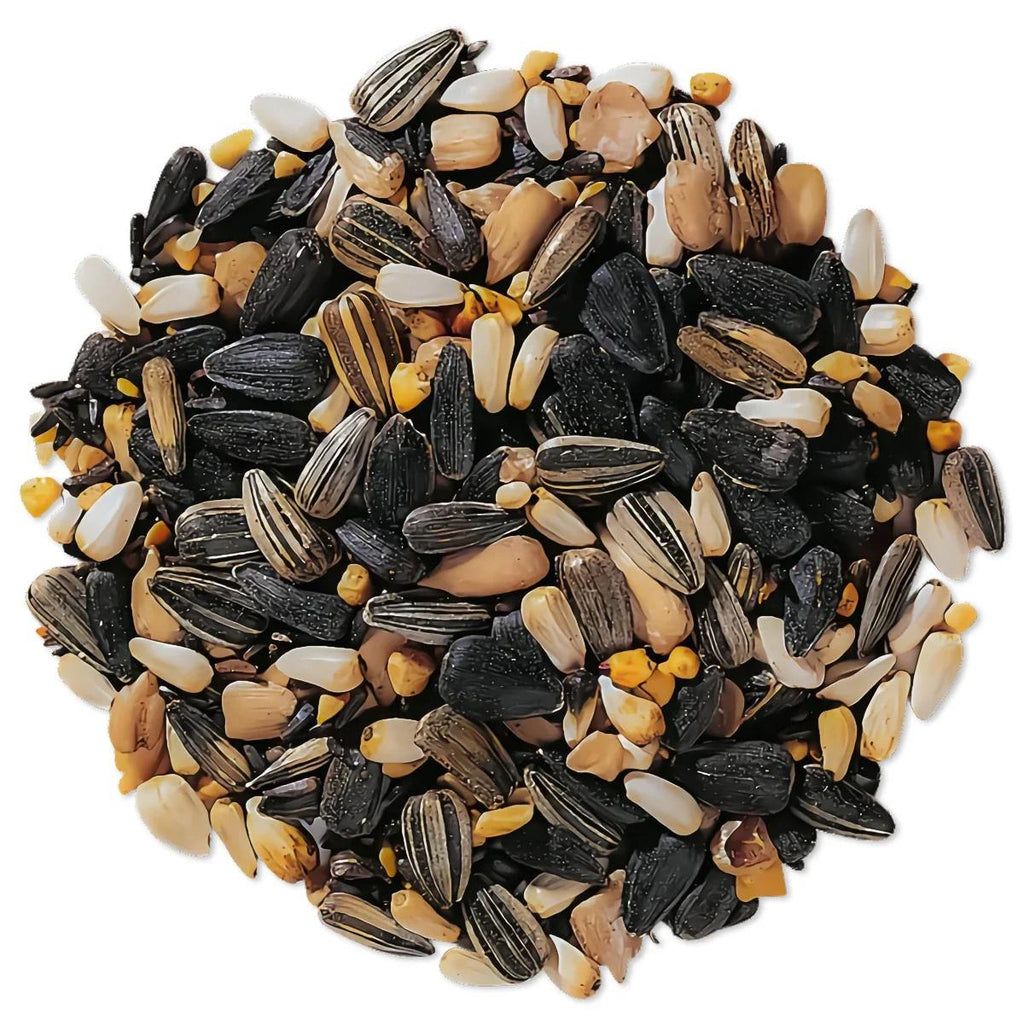 Premium Wild Bird Seed 1 lb No-Filler Songbird Food for Hanging Feeders, Lawn Stands, and Ground Feeders, Year-Round Outdoor Bird Feeding, Attracts Songbirds