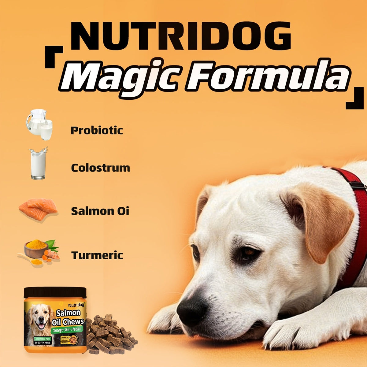 Dog Nutritional Supplement Soft Chews 90 Count with Probiotics Salmon Oil Chicken Flavor - Supports Coat, Gut Health, and Immunity for Dogs of All Ages 225g