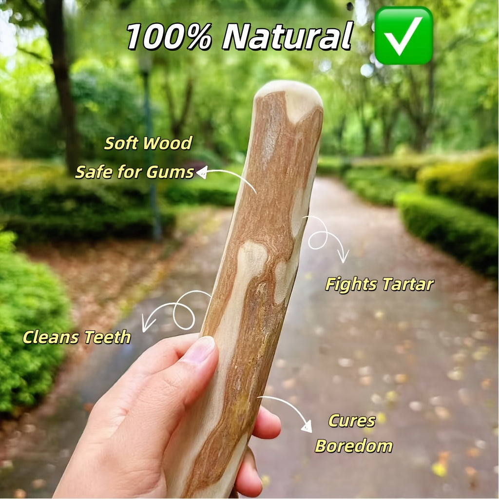 Natural Coffee Wood Dog Chew Stick: Reduces Tartar, Relieves Anxiety, Prevents Destructive Chewing, Protects Furniture, Long-Lasting Safe Chew Toy for Dogs, 8.3 Inch