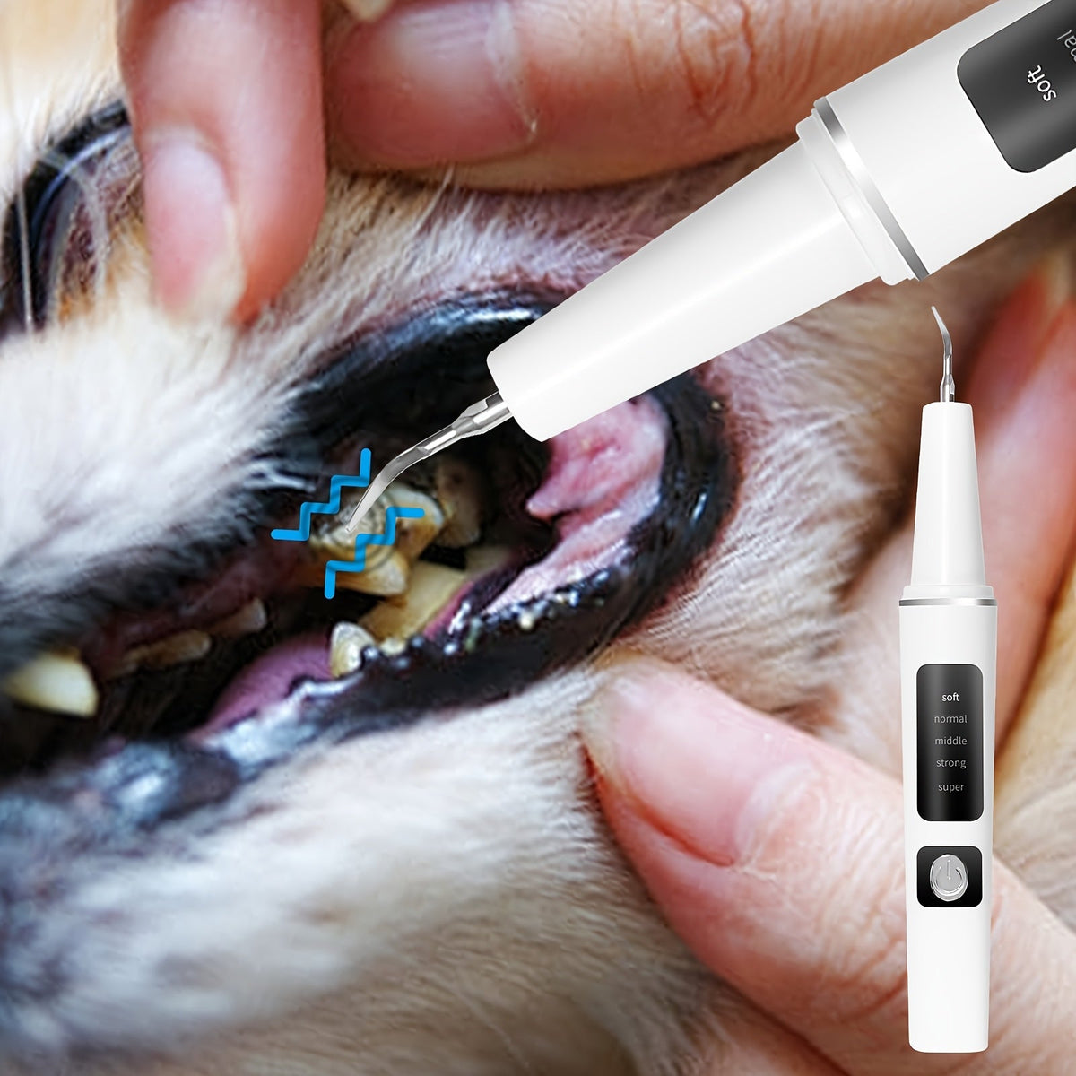 Electric Pet Teeth Cleaning Kit for Cats and Dogs, USB Rechargeable Tartar and Stain Remover with 4 Cleaning Heads and 5 Modes - Dental Care Tool for Pets