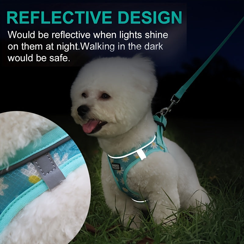 No-Pull Dog Harness and Leash Set for Small to Medium Dogs - Soft Mesh Reflective Adjustable Puppy Vest Harness for Walking, Running, and Training, Escape-Proof Pet Harness