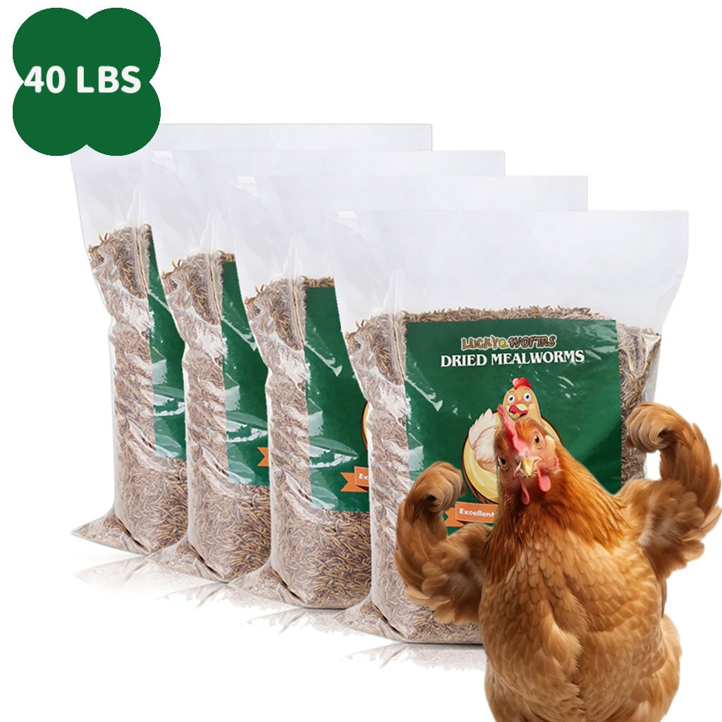 Dried Mealworms for Chickens, Wild Birds, and Ducks – High-Protein Natural Pet Food for Hens, Turtles, Fish, Lizards, and Hamsters, Non-GMO Dried Insect Animal Feed, Multiple Sizes 0.6–40 lbs