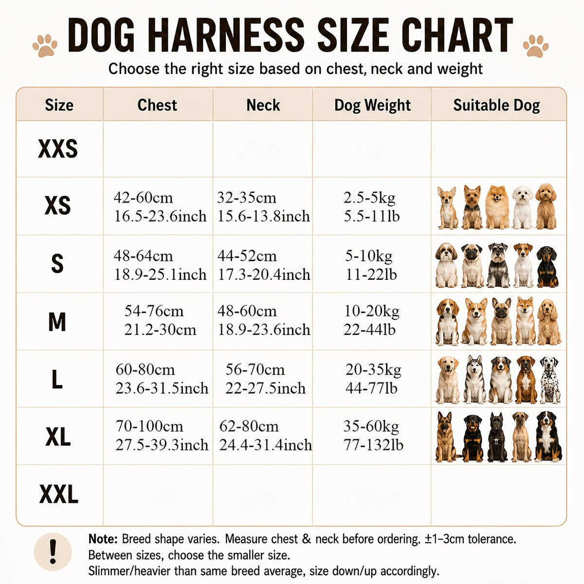 Reflective Dog Harness Vest with Leash, Shock-Absorbing No-Pull Pet Harness with Night Vision Reflective Strips, Comfortable Vest Style for Small, Medium, and Large Dogs