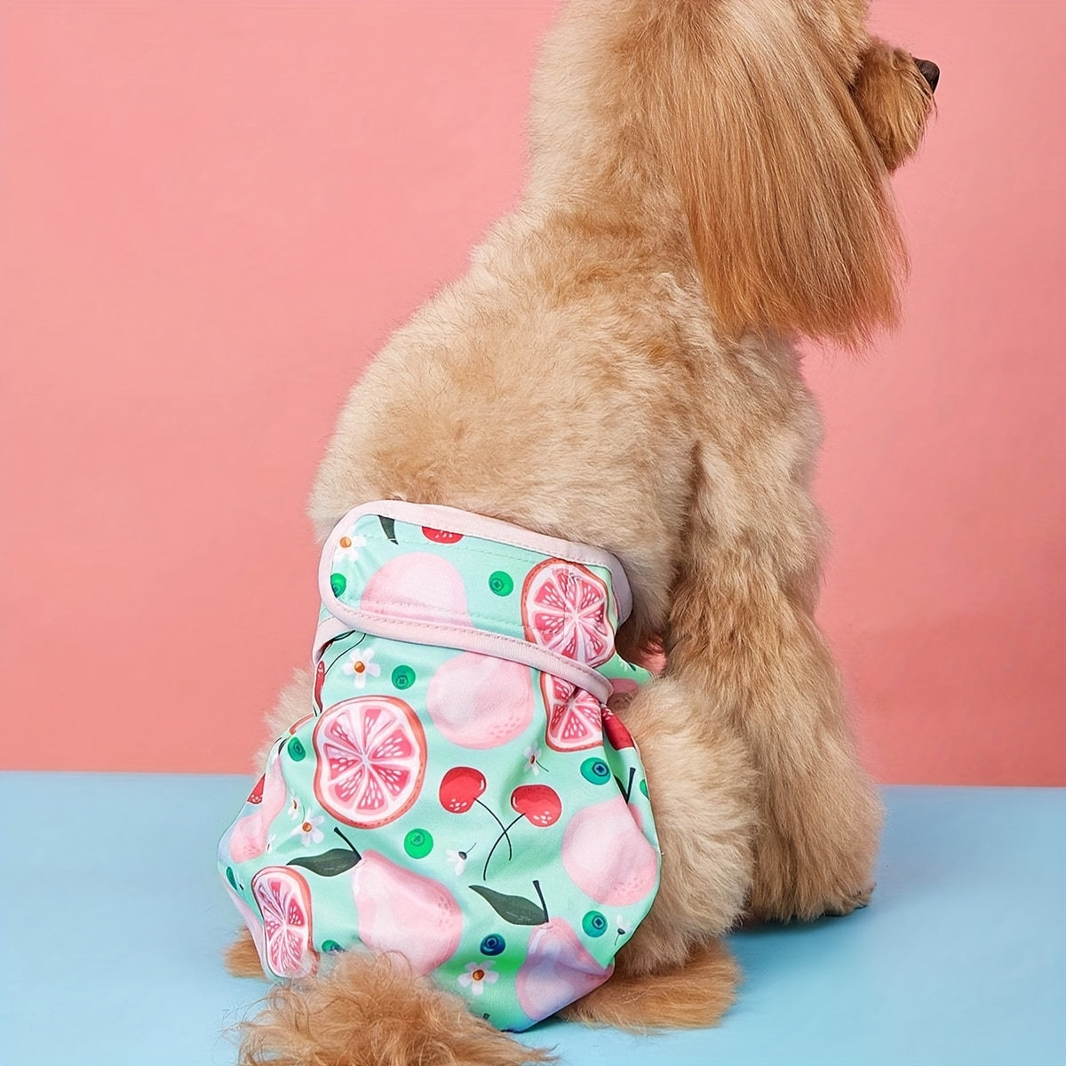 Washable Physiological Dog Pants - Female Dog Period Underwear & Reusable Pet Diaper Panties, Breathable Comfortable Fit for Small Medium Large Dogs, Cute Patterns XS-XL, Dog Heat Cycle & Incontinence Solution