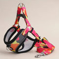Dog Harness and Leash Set - No-Pull Dog Vest Harness, Adjustable Reflective Dog Harness for Small, Medium, and Large Dogs, Easy On/Off Escape-Proof Walking Harness for Indoor and Outdoor Use