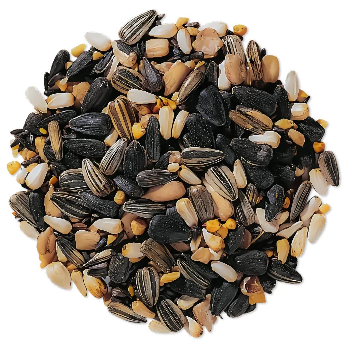 Premium Wild Bird Seed 1 lb No-Filler Songbird Food for Hanging Feeders, Lawn Stands, and Ground Feeders, Year-Round Outdoor Bird Feeding, Attracts Songbirds