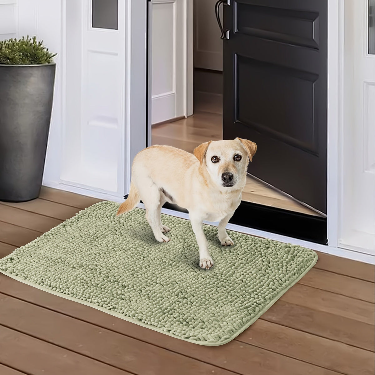 Dog Door Mat for Muddy Paws 2-Pack – Absorbent Non-Slip Washable Microfiber Mud Mat, Quick Dry Indoor Entry Floor Mat for Dogs, Machine Washable, Available in 24x17 & 32x20 inches, 3 Colors