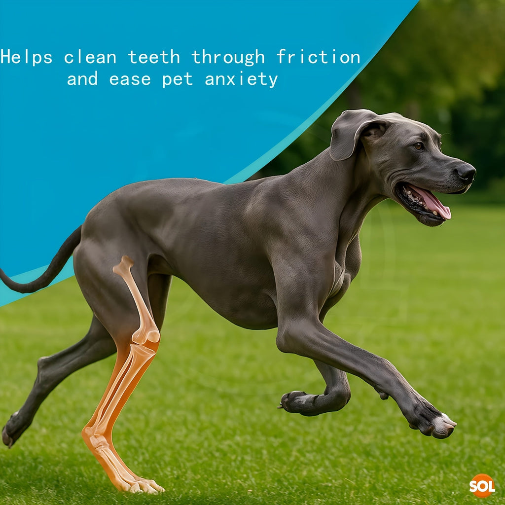 Dog Chewing & Teeth Cleaning Stick Toys 20 Pack - Daily Dental Care Chew Sticks for Small, Medium & Large Dog Breeds, Assorted Styles Random Mix, Ideal Birthday & Holiday Gift Set