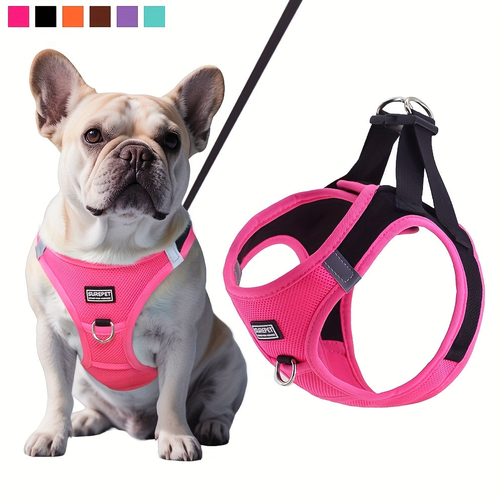 小型犬胸背带牵引绳套装 - 小型犬用软网眼式踩入型胸背带，适合步行、慢跑及训练的舒适透气宠物背心式胸背带（含配套牵引绳）