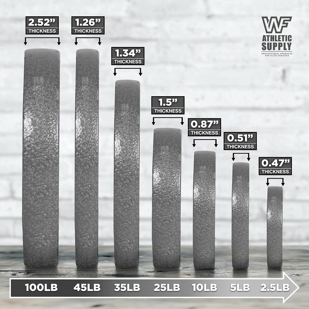 Cast Iron Weight Plates 2-Inch Solid Baked Enamel Finish for Strength Training, Weightlifting, Bodybuilding, Powerlifting, Home Gym Barbell - 2.5, 5, 10, 25, 35, 45, 100 LB